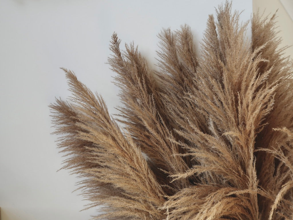 Dried & Preserved Flowers/Foliage